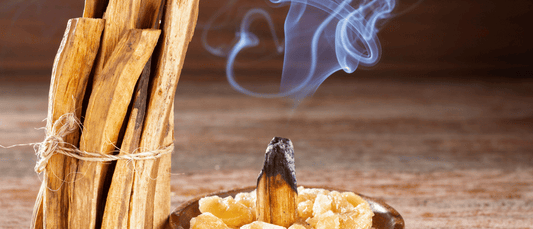 Le palo santo vertus et utilisation