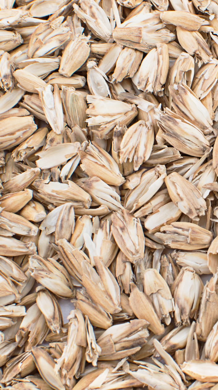 Bolster Rectangulaire MAHARAJA SALAMBA - Raja taupe