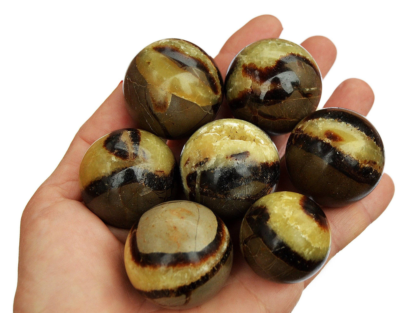 Yellow Septarian Sphere (40mm - 60mm)