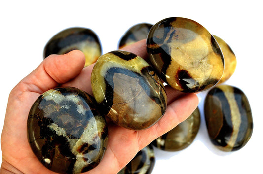 Septarian Palm Stone (40mm - 70mm)